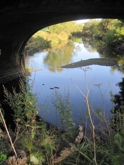 The river bank is a little overgrown in places
