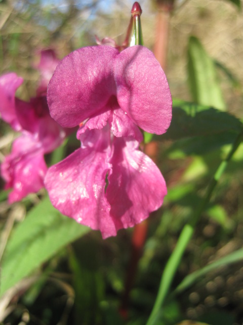 This will have to do!