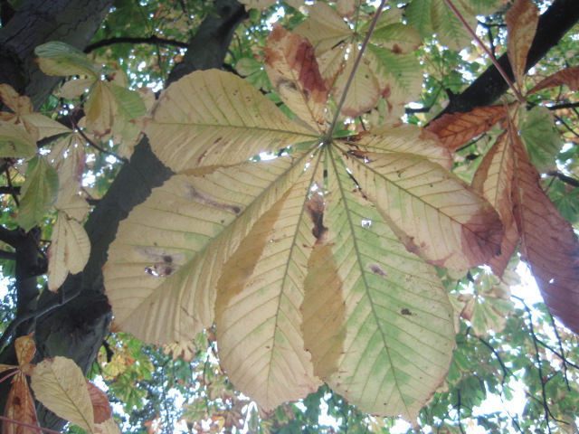 This one's properly 'washed out'