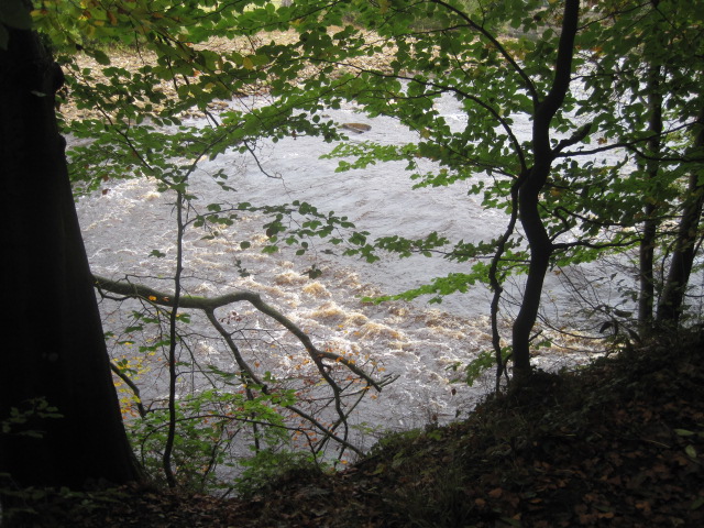 The River Swale chatters along below