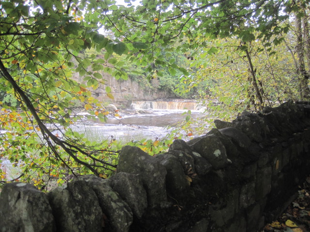 My first sighting always makes me smile!