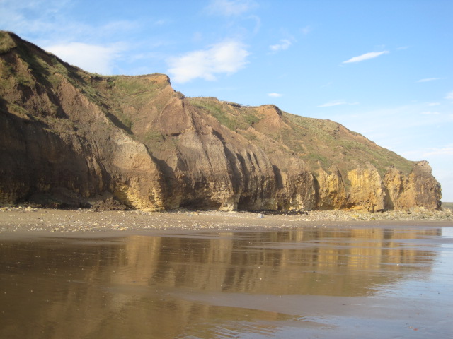 And the murky reflections