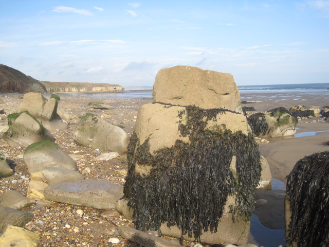 With their seaweed frocks