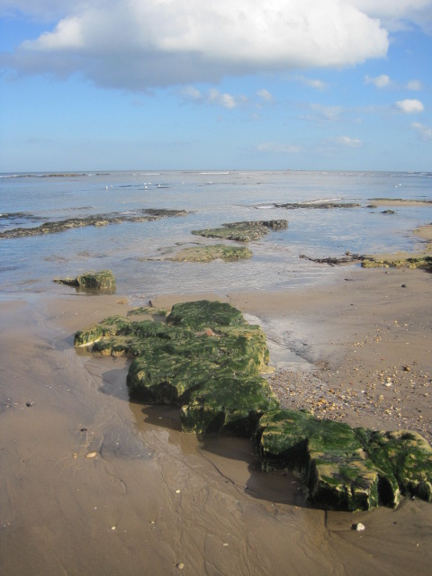 Joy is... the wide blue horizon