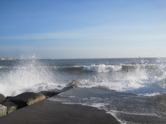 Just watching the waves