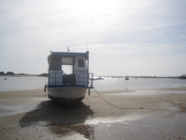 Stranded on the beach