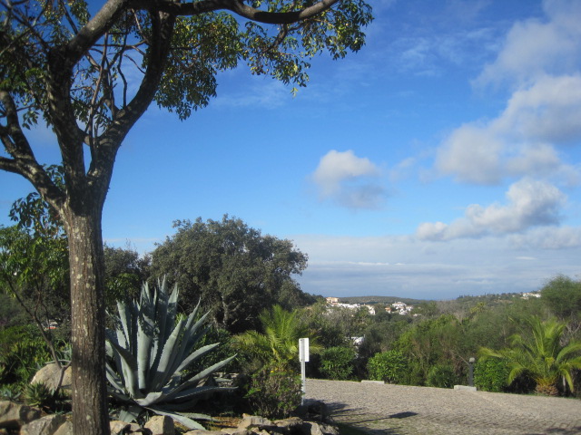 Looking out to the surrounding hills