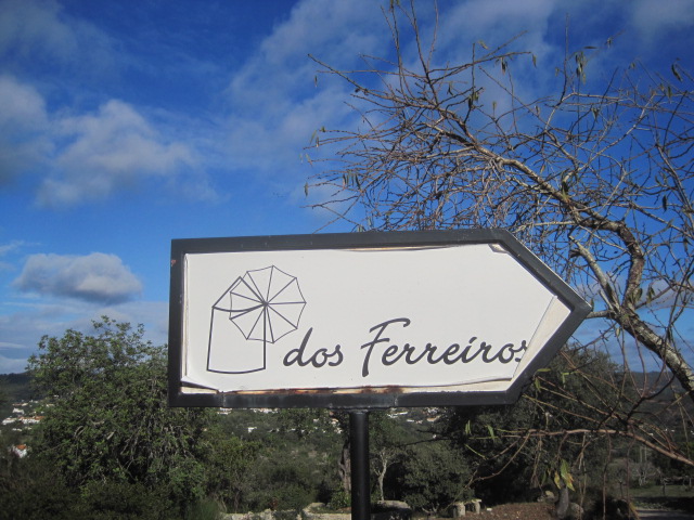 It was soon obvious we were heading for a windmill