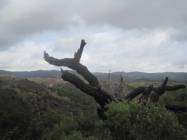 Did I mention changeable weather?