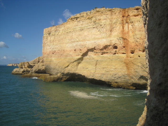 Amazing to be so close to nature