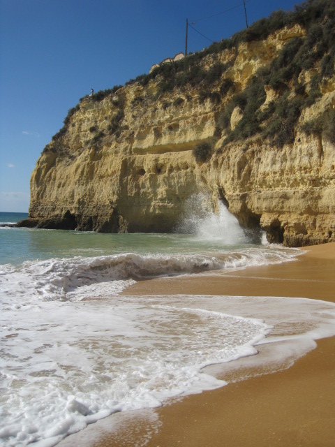 Too close, sometimes!