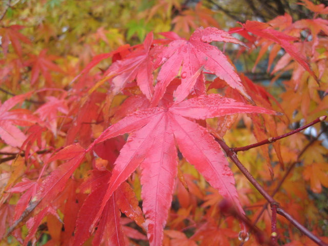 The sunshine after the rain