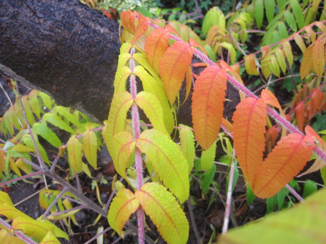 Breathtaking, isn't it?