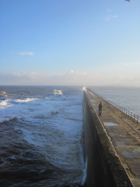 This solitary chap was being a bit daring!