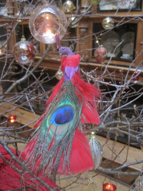 With the most magnificent of peacocks!