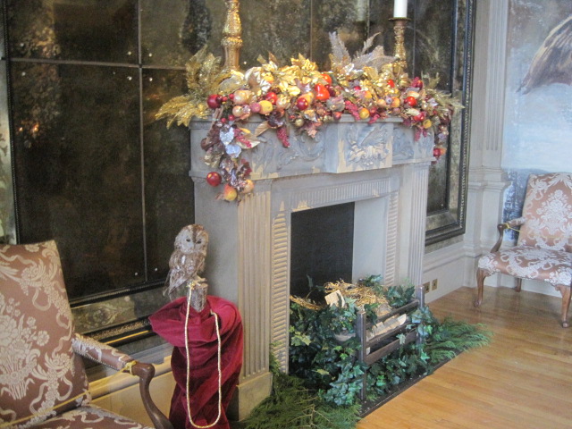 Look what I've spotted?