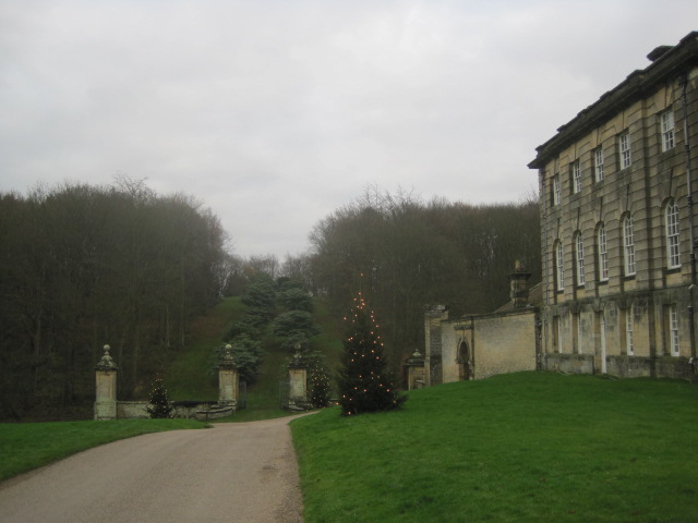 So it was time to go hunting for polar bears