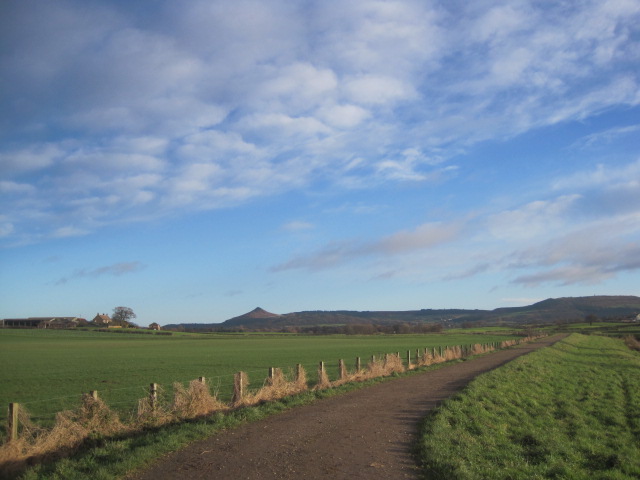 I'm much better at walking!