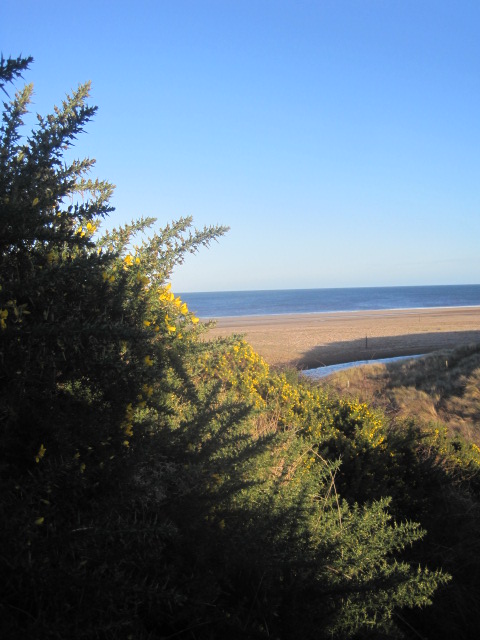 And then, a glimpse of beach