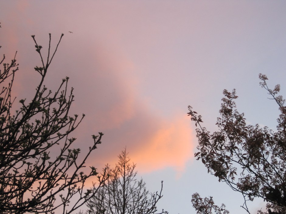 Like those clouds, i'm going to let it all drift away