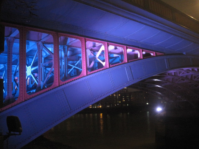 A shock of colour in close up!