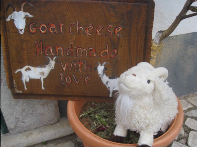 And just across the street, this handsome fellow