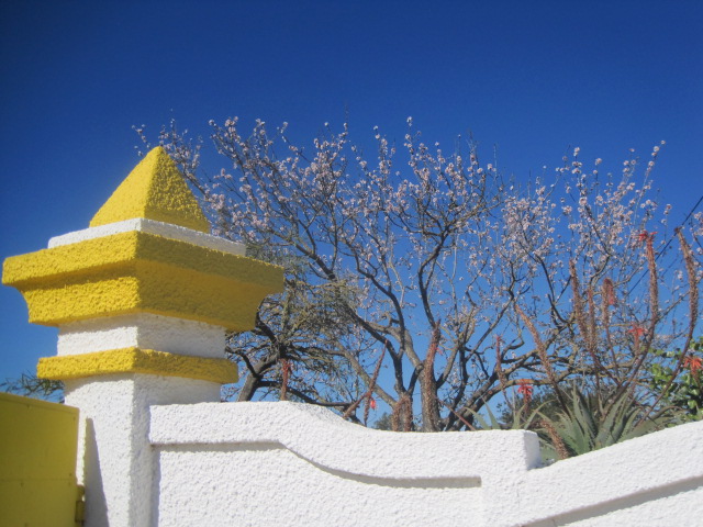 Over the garden wall