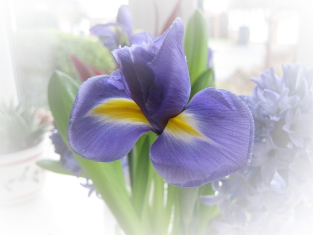 imageedit_2_7984331957