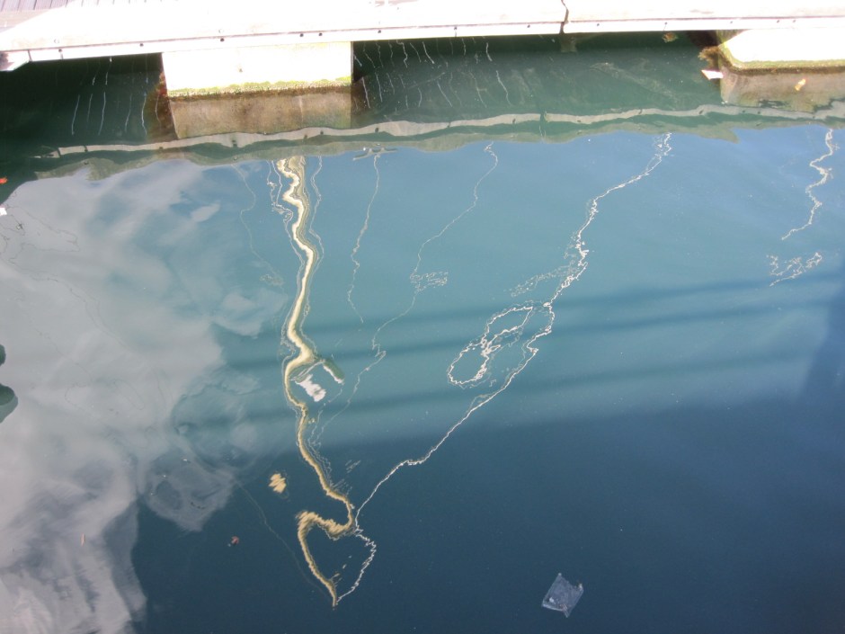 Light patterns play in the water