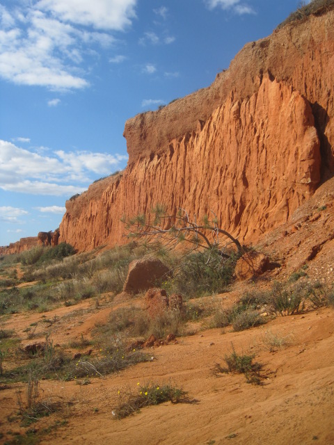 And the cliffs grow ever steeper