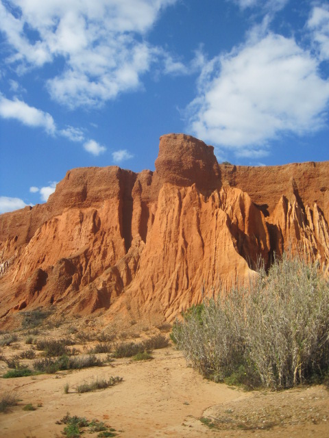 Beneath the towering giants