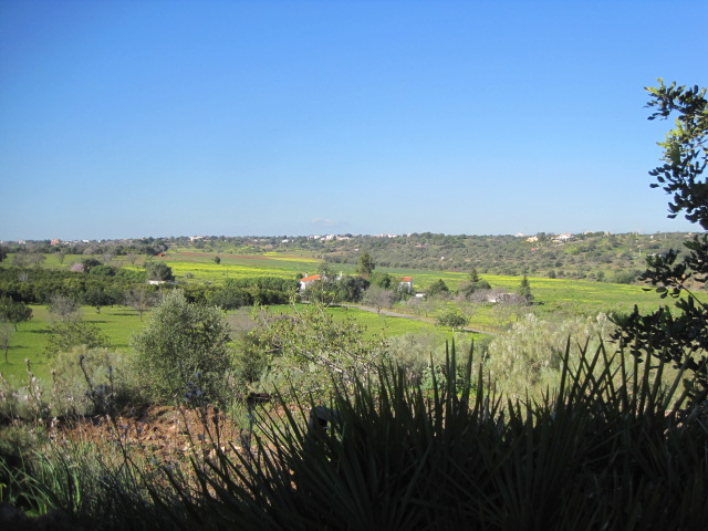 The view from the top of the steps