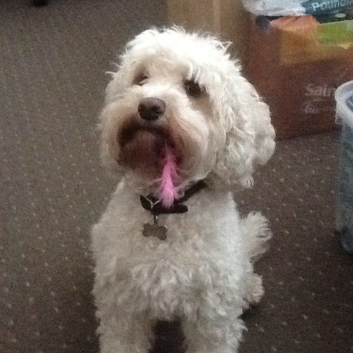 Putting on the style!