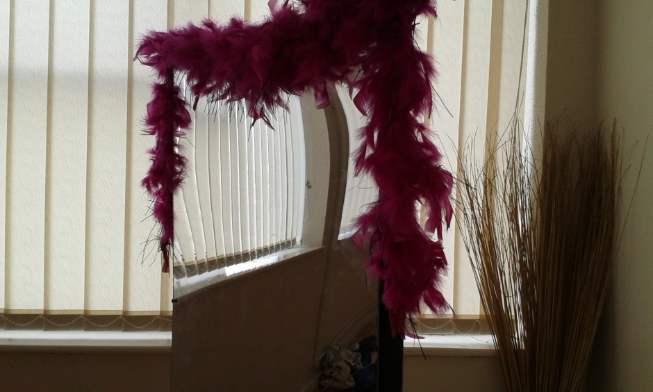 A mirror and a boa, and the reflected blinds