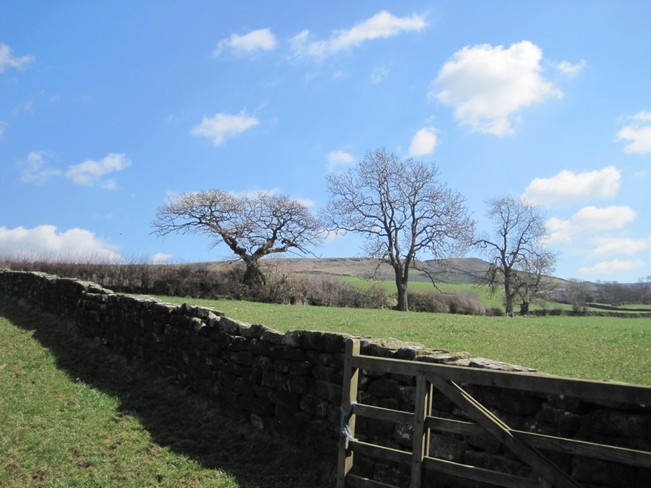 Such crisp shadow in a  peaceful scene
