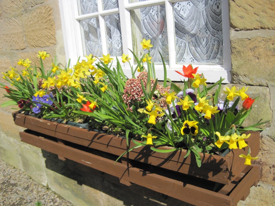 Full of Spring flowers, of course