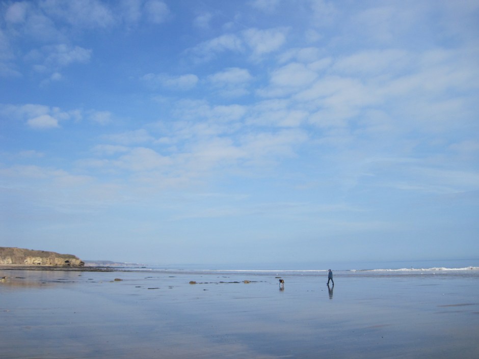 Save for a gentleman and his dog