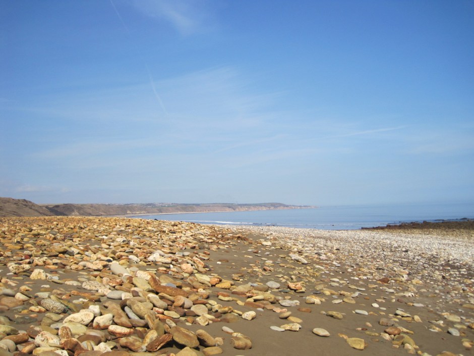 Strewing the beach as far as the eye can see