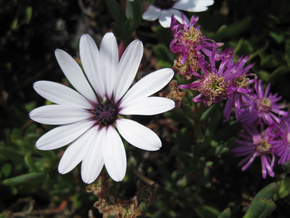 And there's always time for flowers!