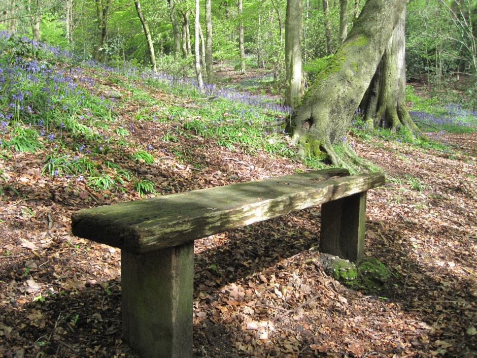 And even a bench for Jude (but not for this month's challenge)