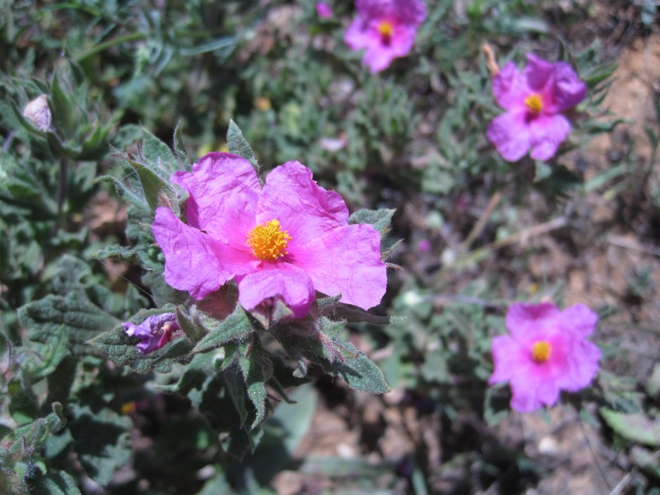 How can you ignore this?