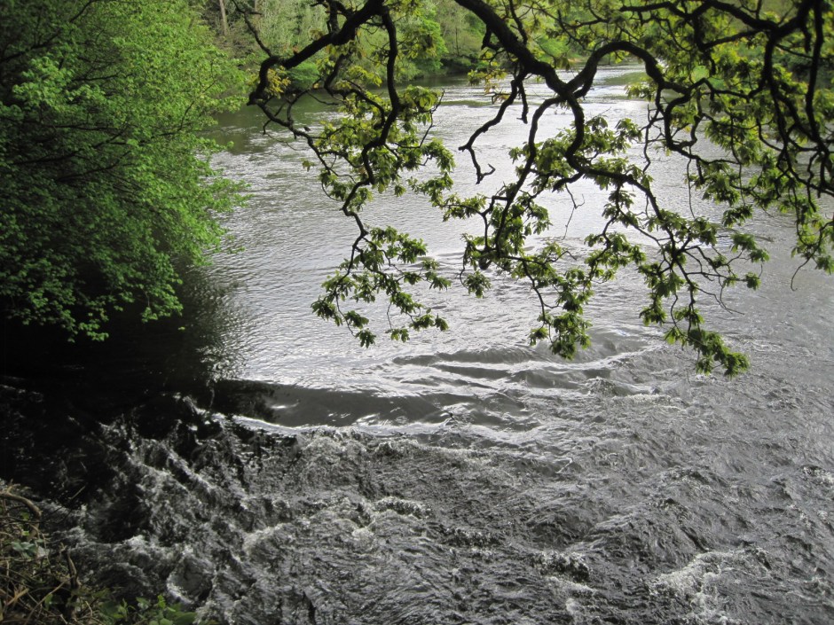 In places the River Wear flows swiftly