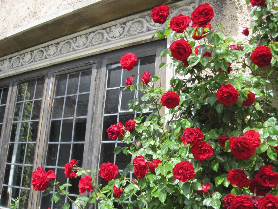 The detail around the windows is exquisite