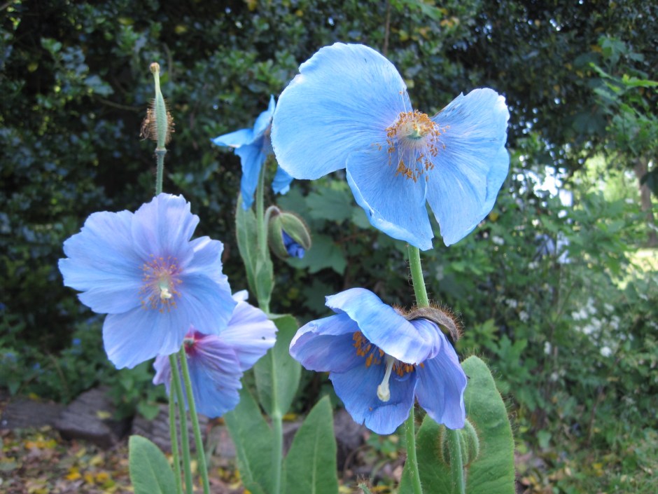 And for Paula, wishing her peace