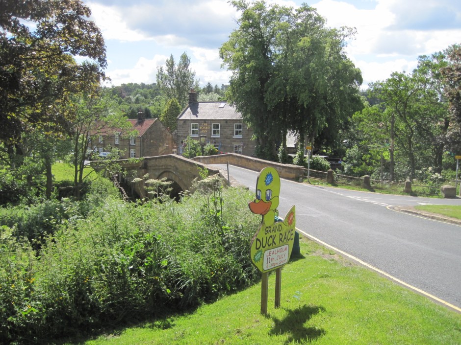 Did you miss the Duck Race?