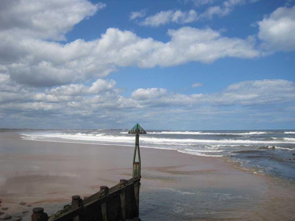 I'm happy just to gaze