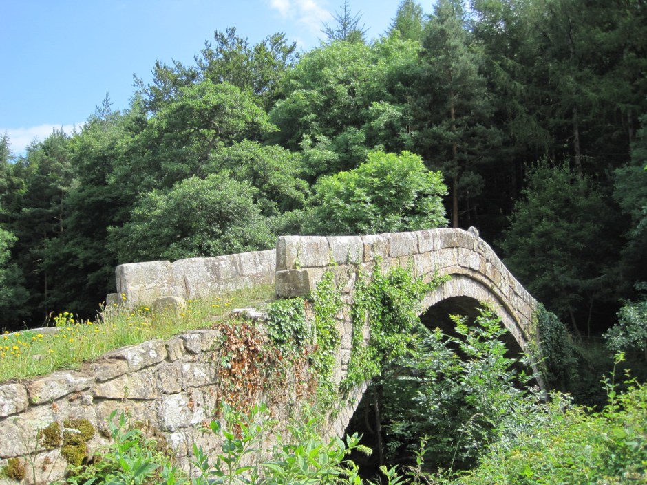 It's a distinctive looking bridge, but not in use any more
