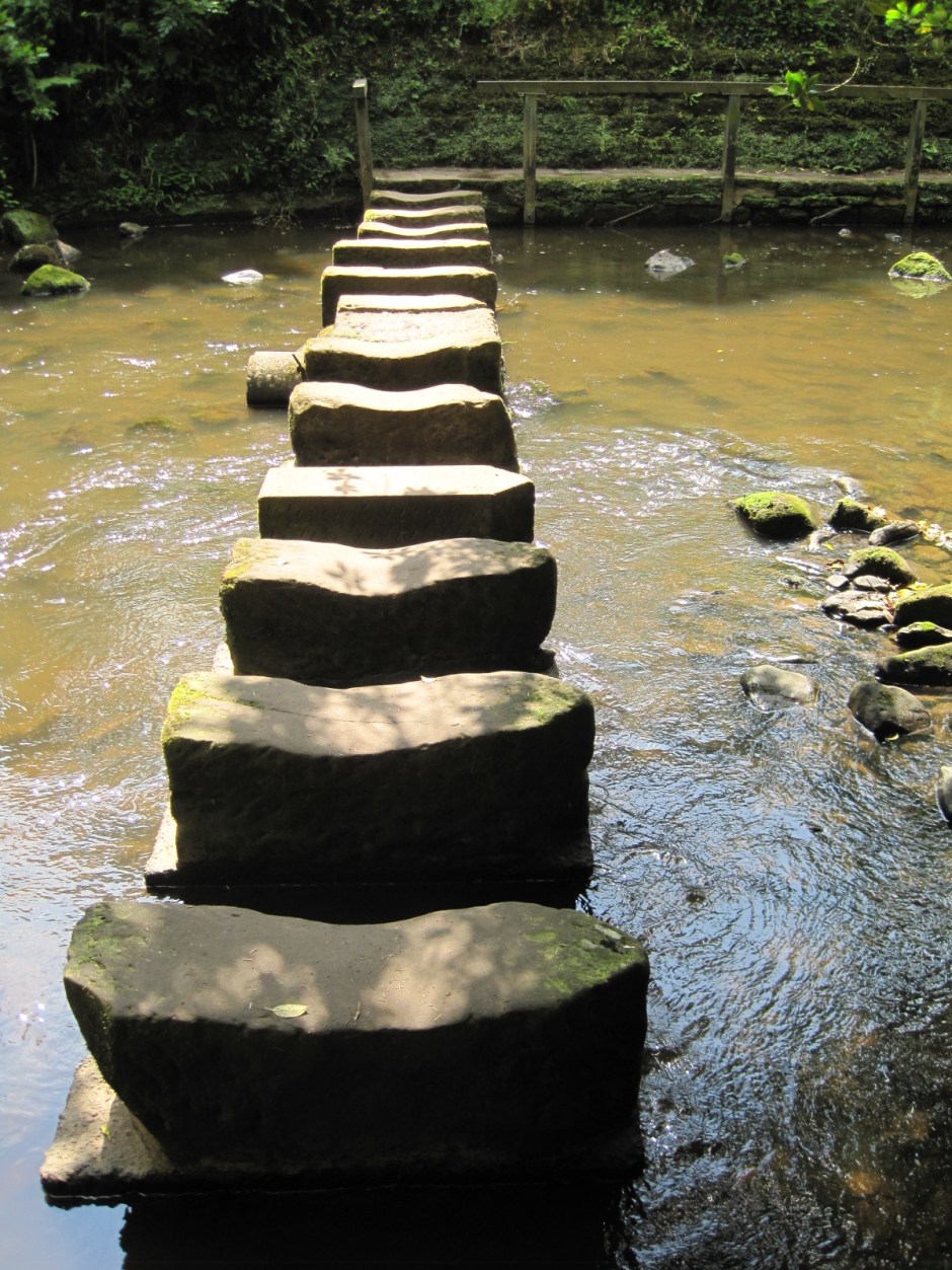 The first stepping stones, in dappled shade