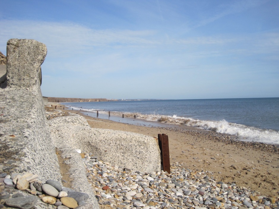 There's a lot of beach to examine!