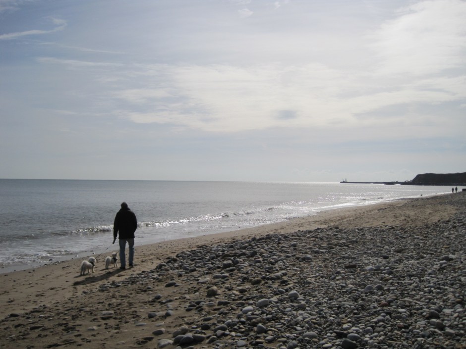 Unconcerned, a man walks his dog